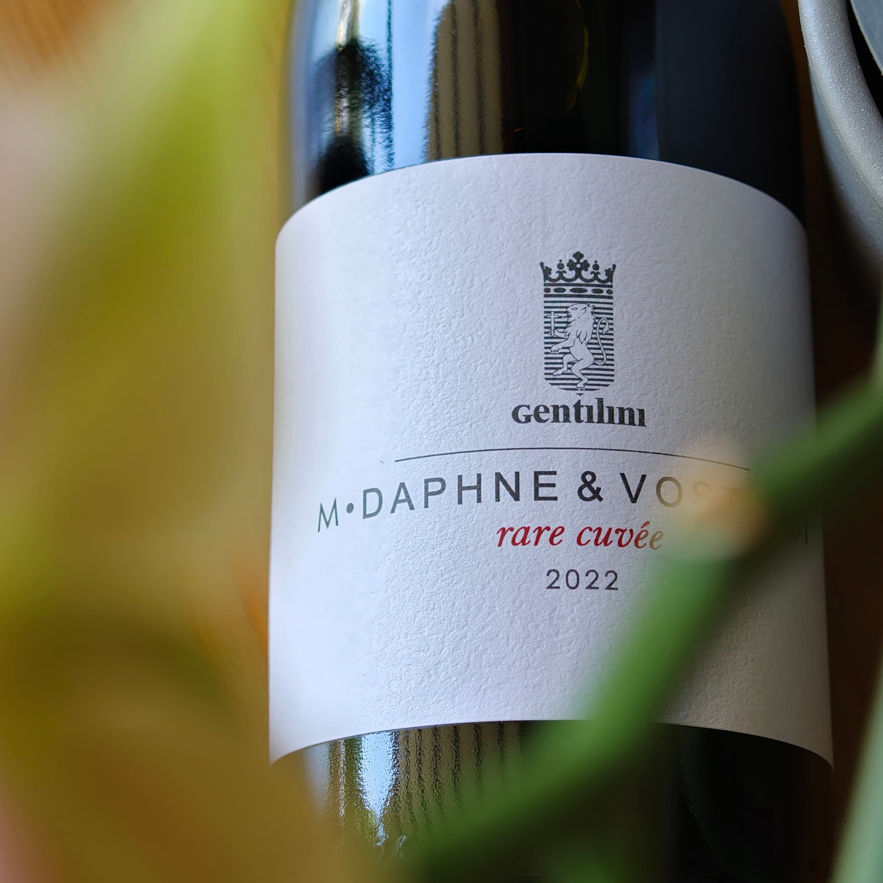 Rare Cuvée Gentilini — Halfglass Κηφισιά